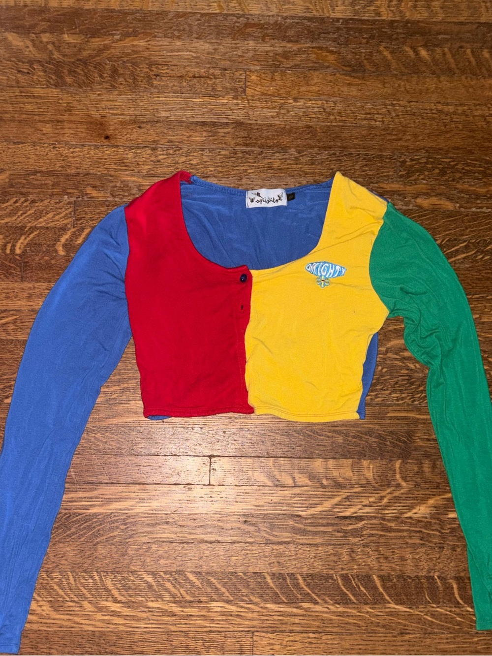 omighty Colorblock Cropped shirt, OG 2020 BADDIES IYKYK, authentic, y2k